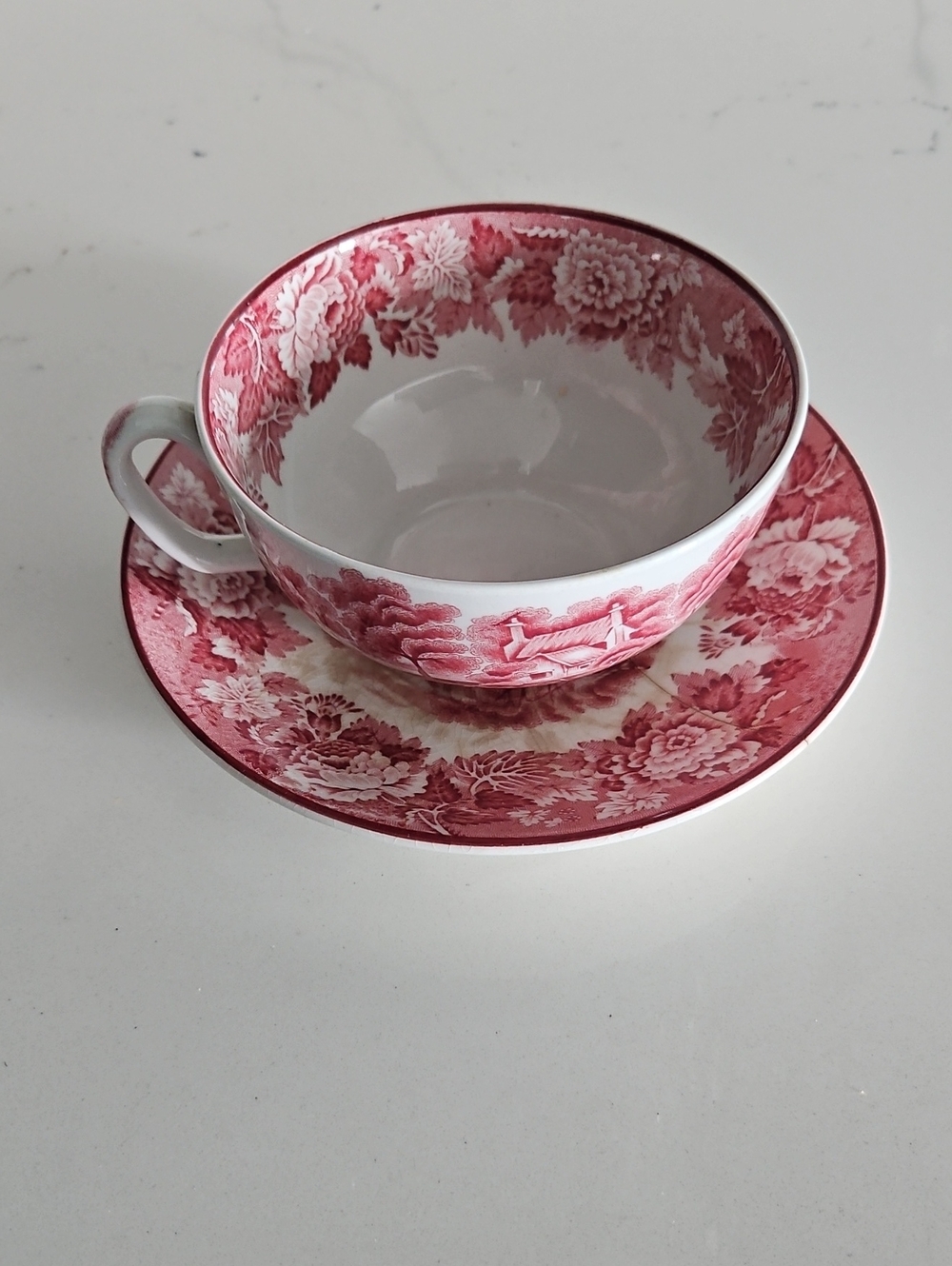 Vintage Woods Ware Cup And Saucer In Red Scenery